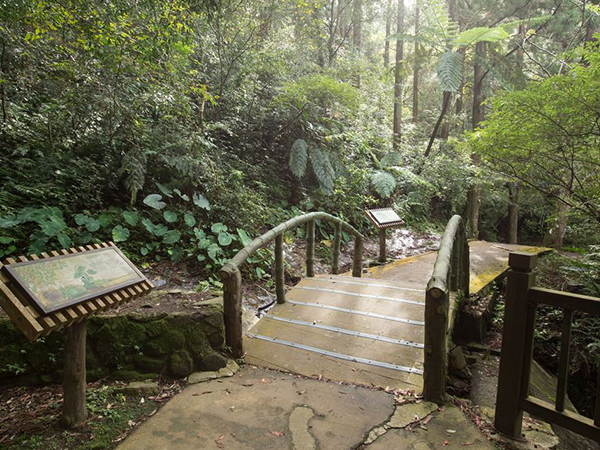 東眼山森林遊楽区(東眼山森林遊樂區)