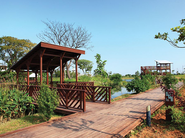 桃園八德埤塘生態公園(八德埤塘自然生態公園)